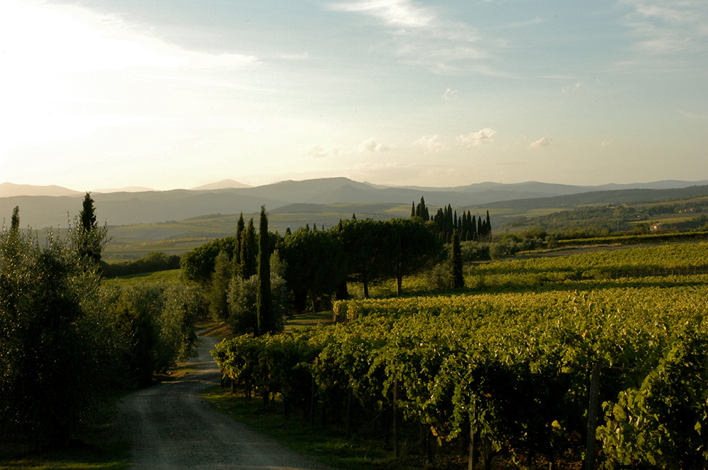 Tuscany in the Fall